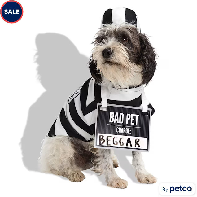 Bootique Prisoner 3-Piece Pet Halloween Costume, Large | Petco