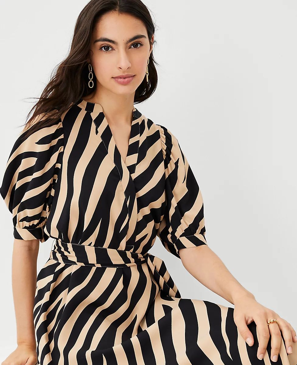 Zebra Stripe Belted Shirtdress | Ann Taylor (US)