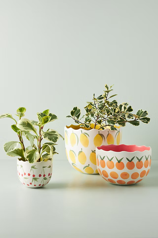 Tutti Pot | Anthropologie (US)