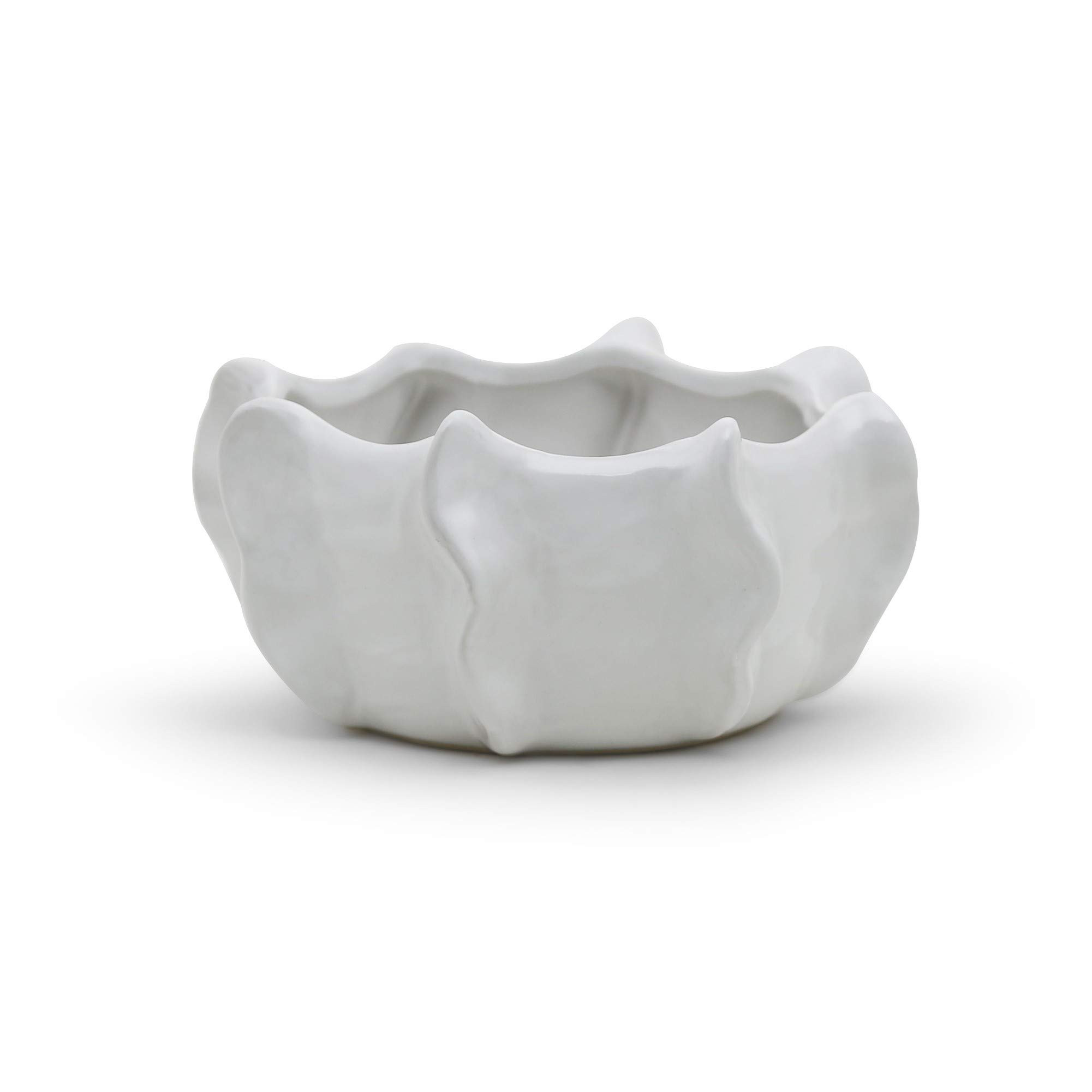 WGV Ceramic Bowl Vase, Width 7.5", Height 3.5", Corral Pot, White Large Mantel Planter Centerpiec... | Amazon (US)