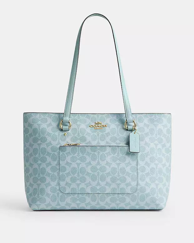 $179 | Coach (US)