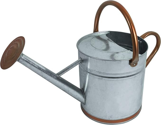 Woodside Silver 9L Metal Garden and Plant Watering Can with Rose | Amazon (UK)