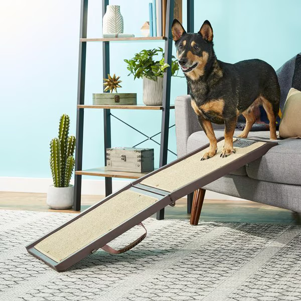 Gen7Pets Mini Indoor Foldable Dog Ramp | Chewy.com