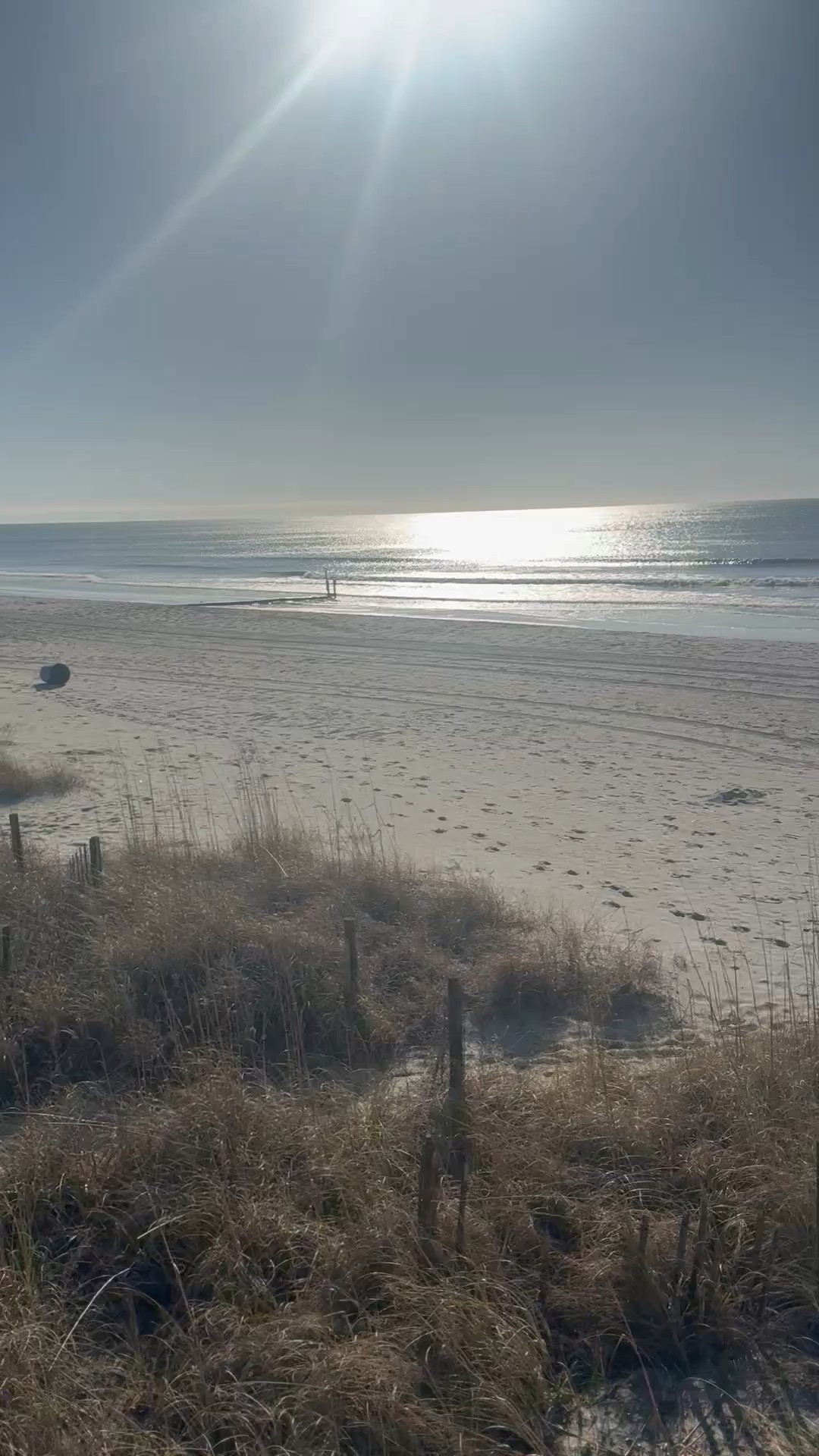 The sunshine was showing off this morning ☀️

#LTKSeasonal #LTKWatchNow