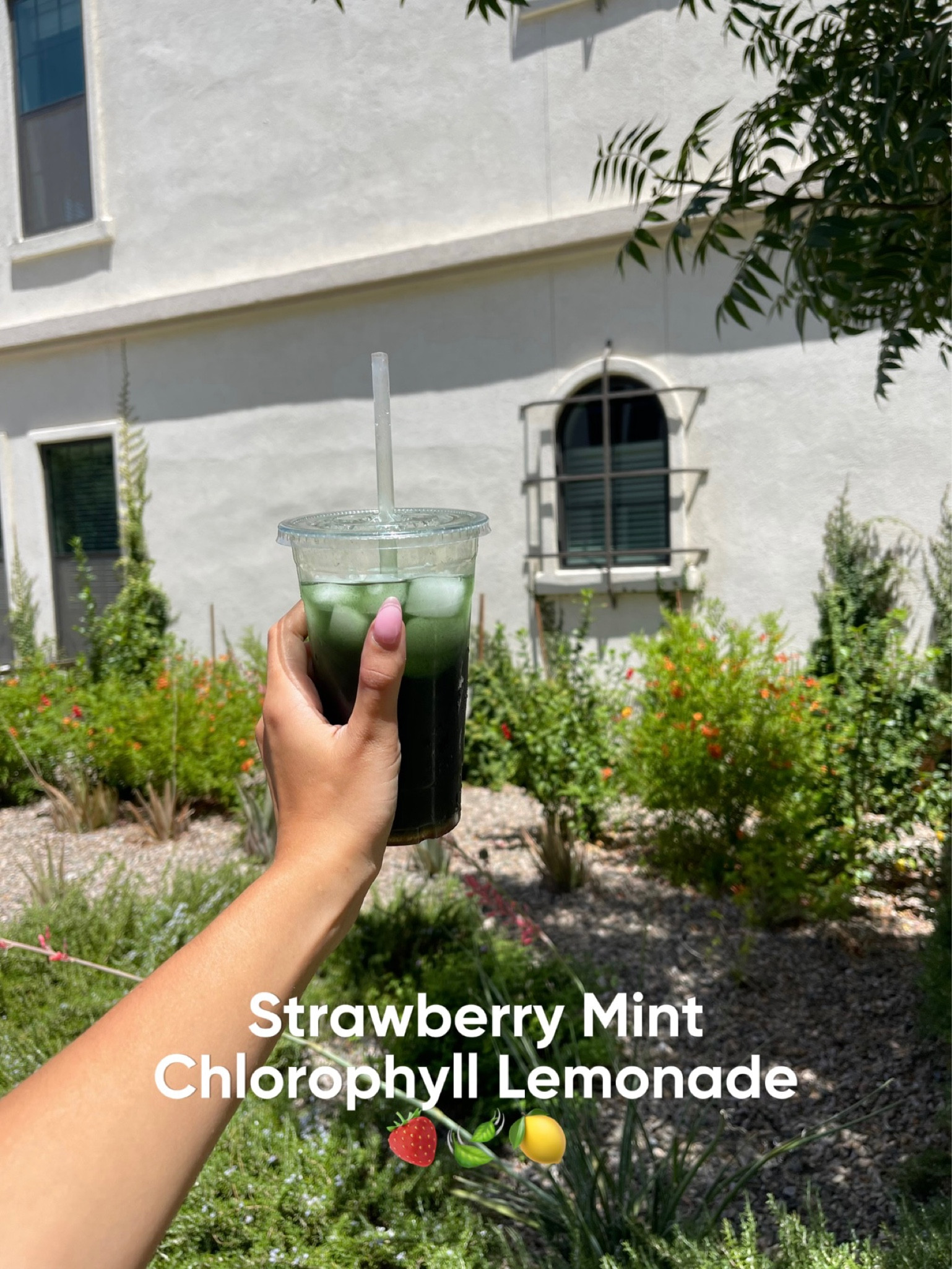 Strawberry Mint Chlorophyll Lemonade - Great for bloating, inflammation, and clear skin! 

Ingredients:
- 1 can of sparkling water
- Juice of half of a lemon
- Three pumps of mint chlorophyll
- Splash of strawberry syrup￼