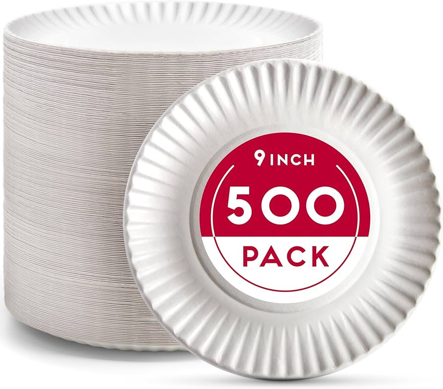 9-Inch Disposable Paper Plates - 500 Count - Bulk Pack of Uncoated Paper Plates for Everyday Use ... | Amazon (US)