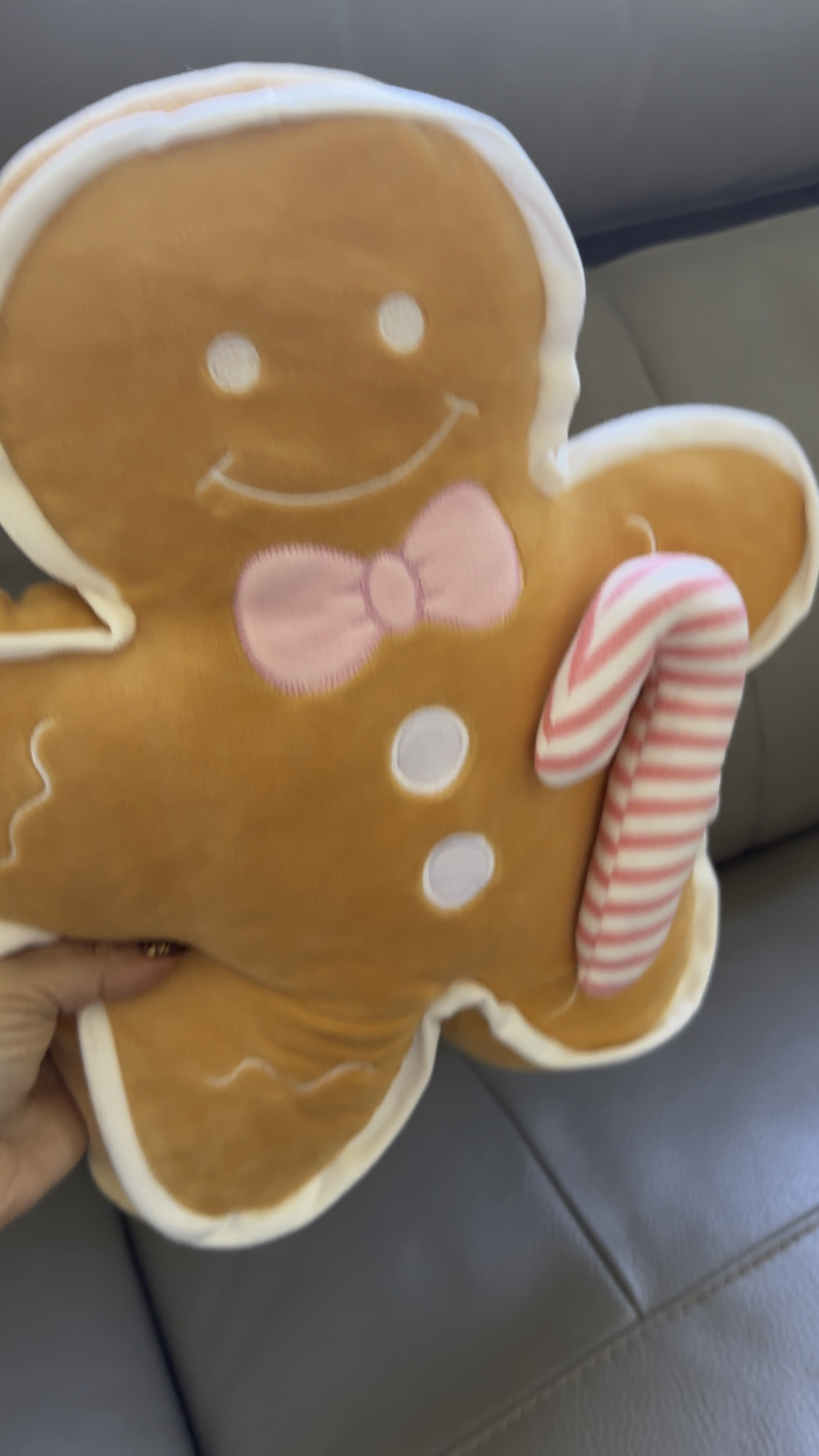 🛏️💖 Check out this most adorable pastel-colored gingerbread man pillow! It’s the perfect cozy addition to my home decor, bringing a touch of whimsy and sweetness to any space. Whether it’s for the holidays or year-round, this pillow adds a delightful pop of color and charm. Who wouldn’t want a cute gingerbread friend to snuggle with? 🍪✨ #HomeDecor #GingerbreadMan #CozyVibes

#LTKVideo #LTKSeasonal #LTKHoliday