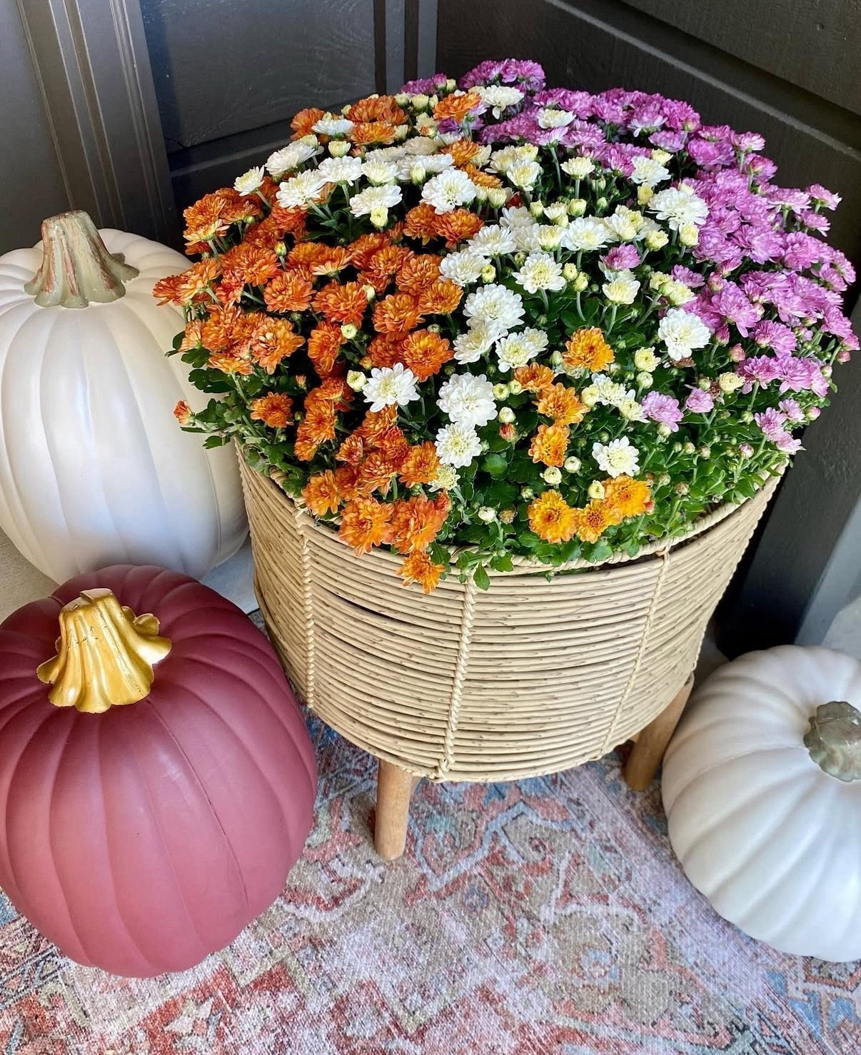 This is where I get my mums every year and they never disappoint! Get ‘em now before they start blooming! 

#LTKSaleAlert #LTKSeasonal #LTKHome