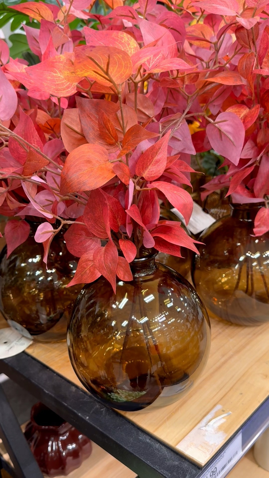 Fall colors and flower arrangements are here! 🍂 Gorgeous stems and vases…so pretty for entryway, coffee table, kitchen, and desk.

#fallstems #fallleaves #fallflowerarrangements #target #glassvase #ceramicvase #fallwreaths #crapapplestems

#LTKHome #LTKSeasonal