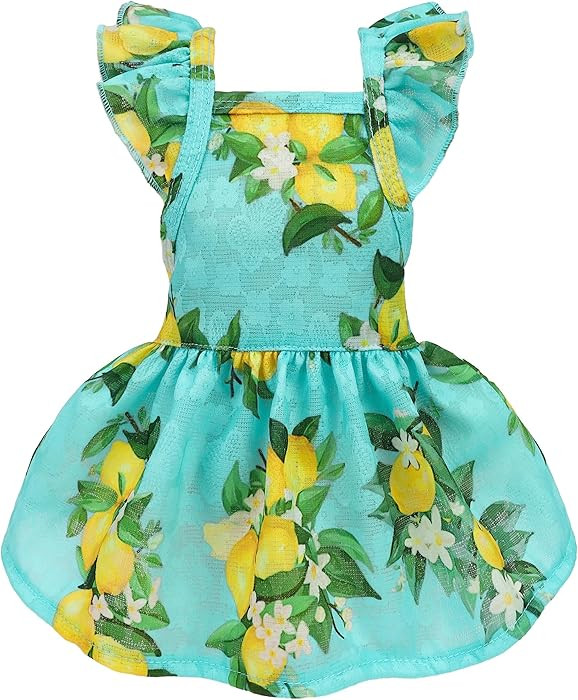 Lemon | Amazon (US)