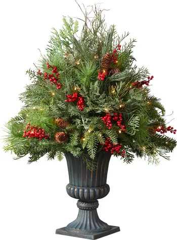 Outdoor Red Berry Pine Potted Arrangement | Nordstrom