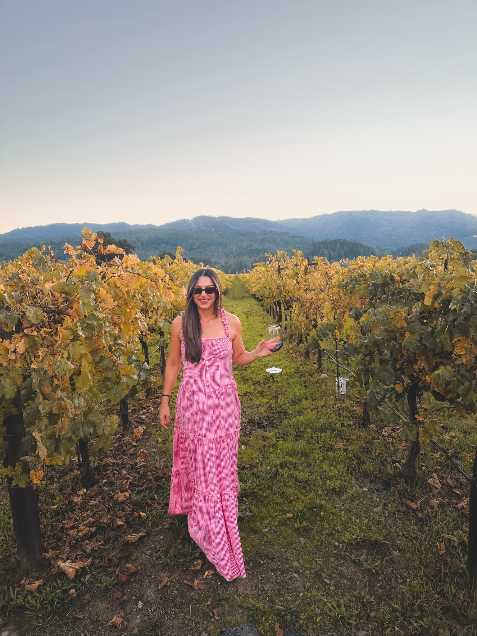 Fall dress 
Gingham dress 
Napa outfit
Napa valley outfit 
Wine country 
Wine tasting outfit 