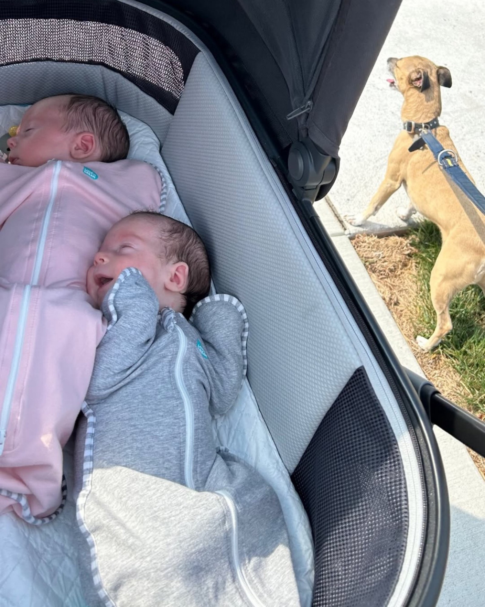 The twinnies love sleeping in their snug sacks 🥹

#LTKBaby #LTKKids #LTKFamily