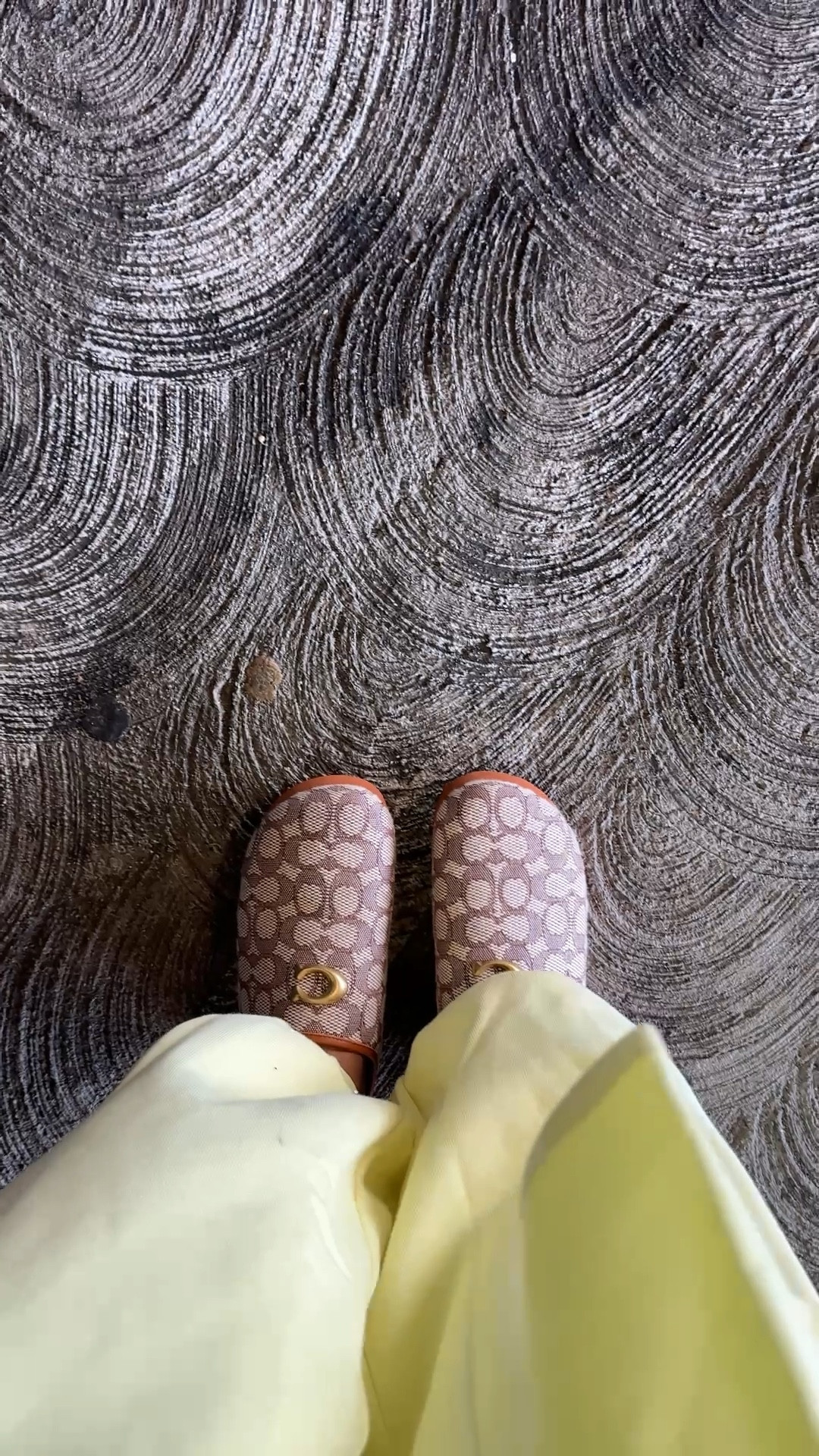 Coach mules > 

#LTKShoeCrush #LTKGiftGuide #LTKStyleTip