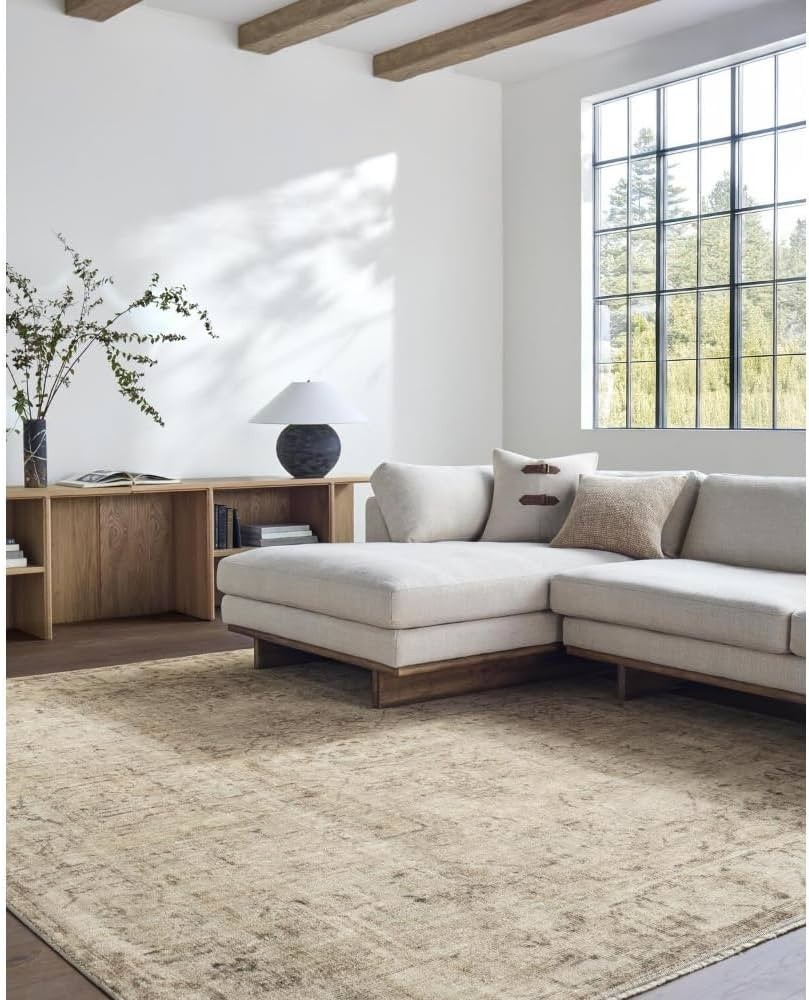 Livabliss x Galey Alix Fetscher I Vintage Medallion Area Rug, 6'7" x 9'6" (7' x 10'), Light Beige | Amazon (US)