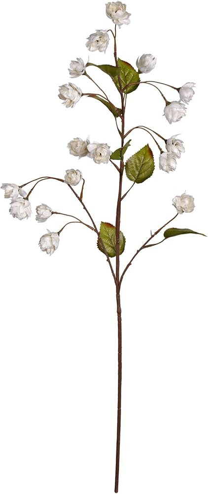 Ashland Cream Hops Spray, 12 Pack | Amazon (US)