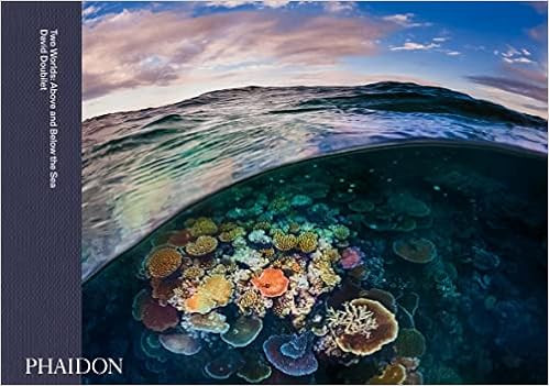 Two Worlds: Above and Below the Sea



Hardcover – November 3, 2021 | Amazon (US)