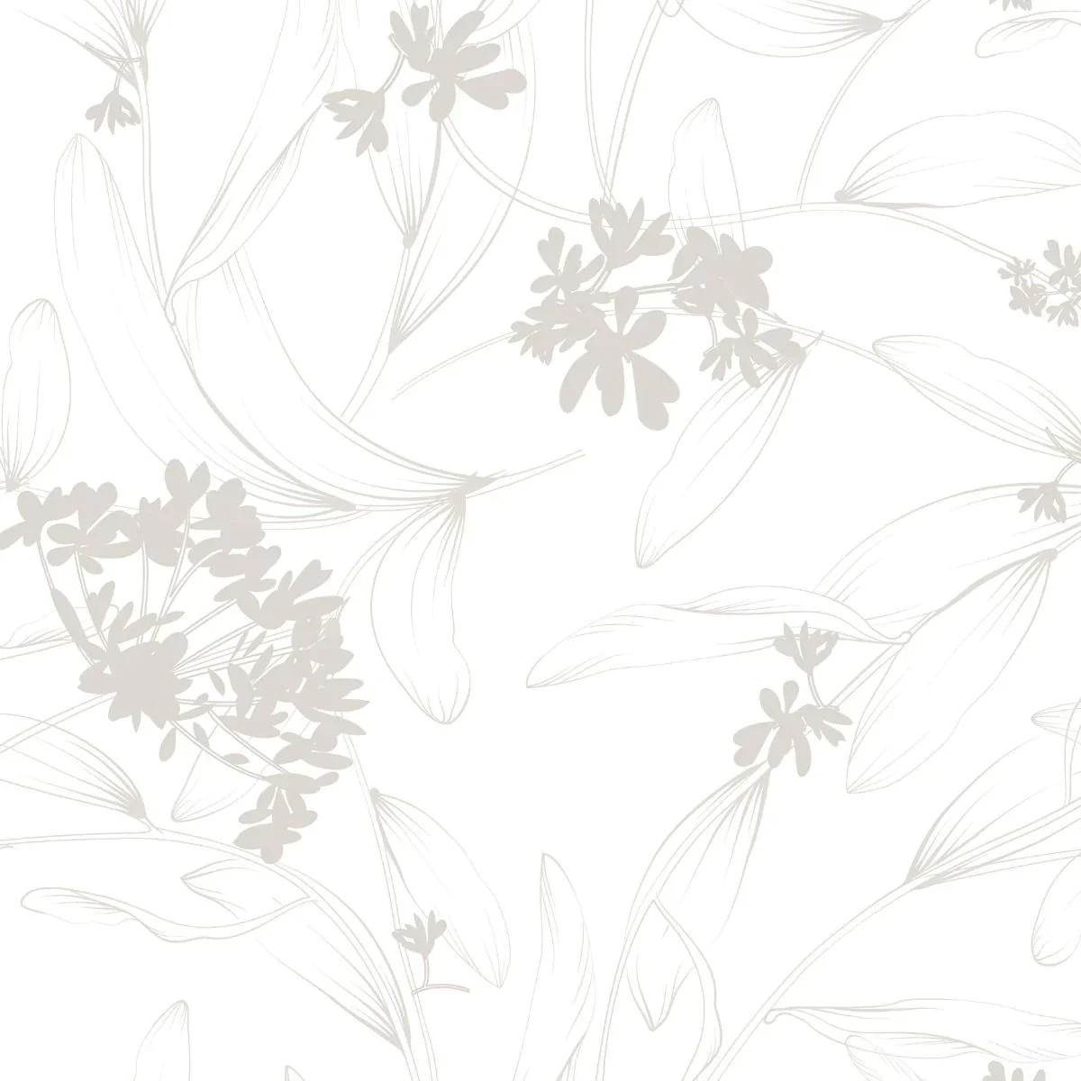 Botanica | Dizzy With Excitement