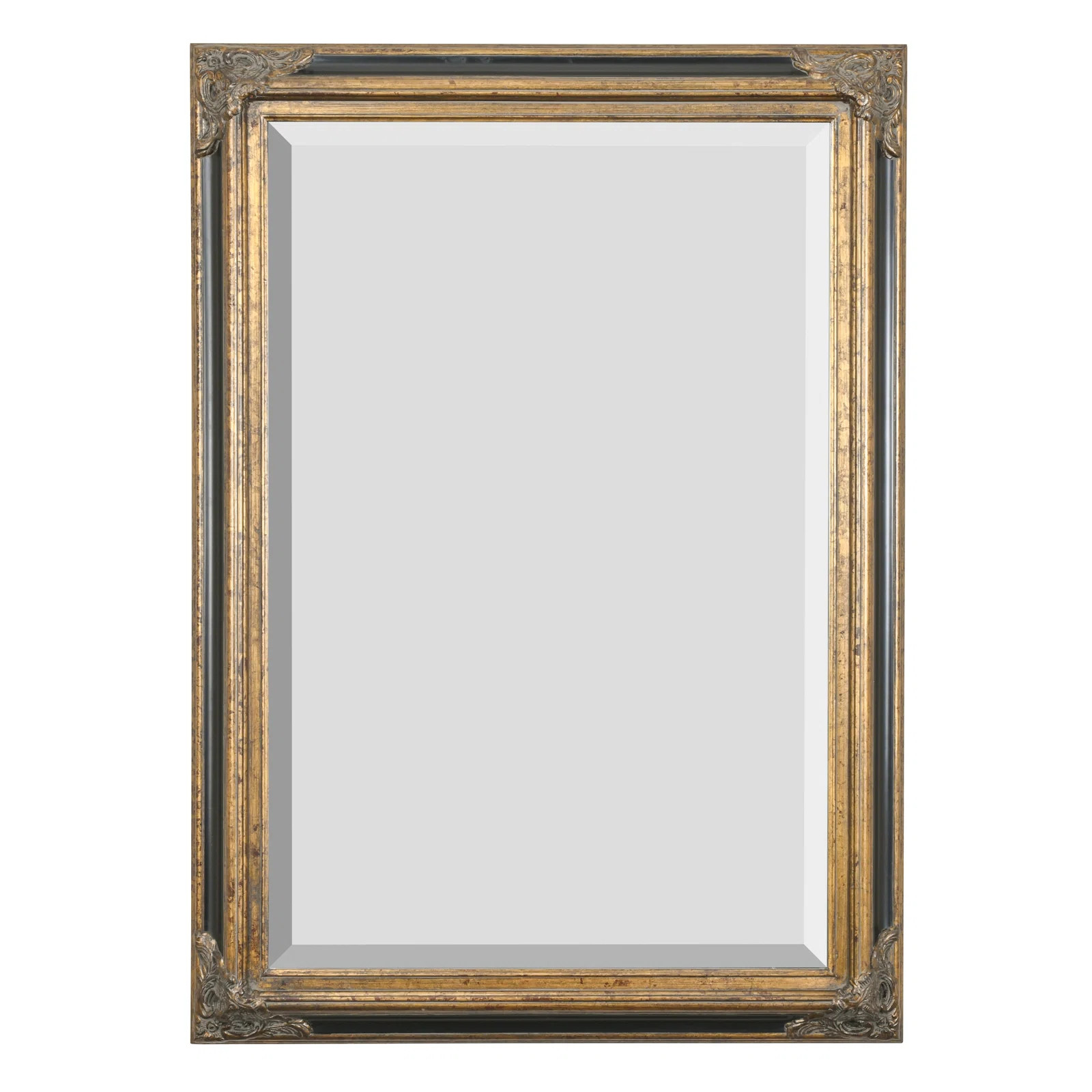 David-Paul Solid Wood Rectangle Wall Mirror | Wayfair North America