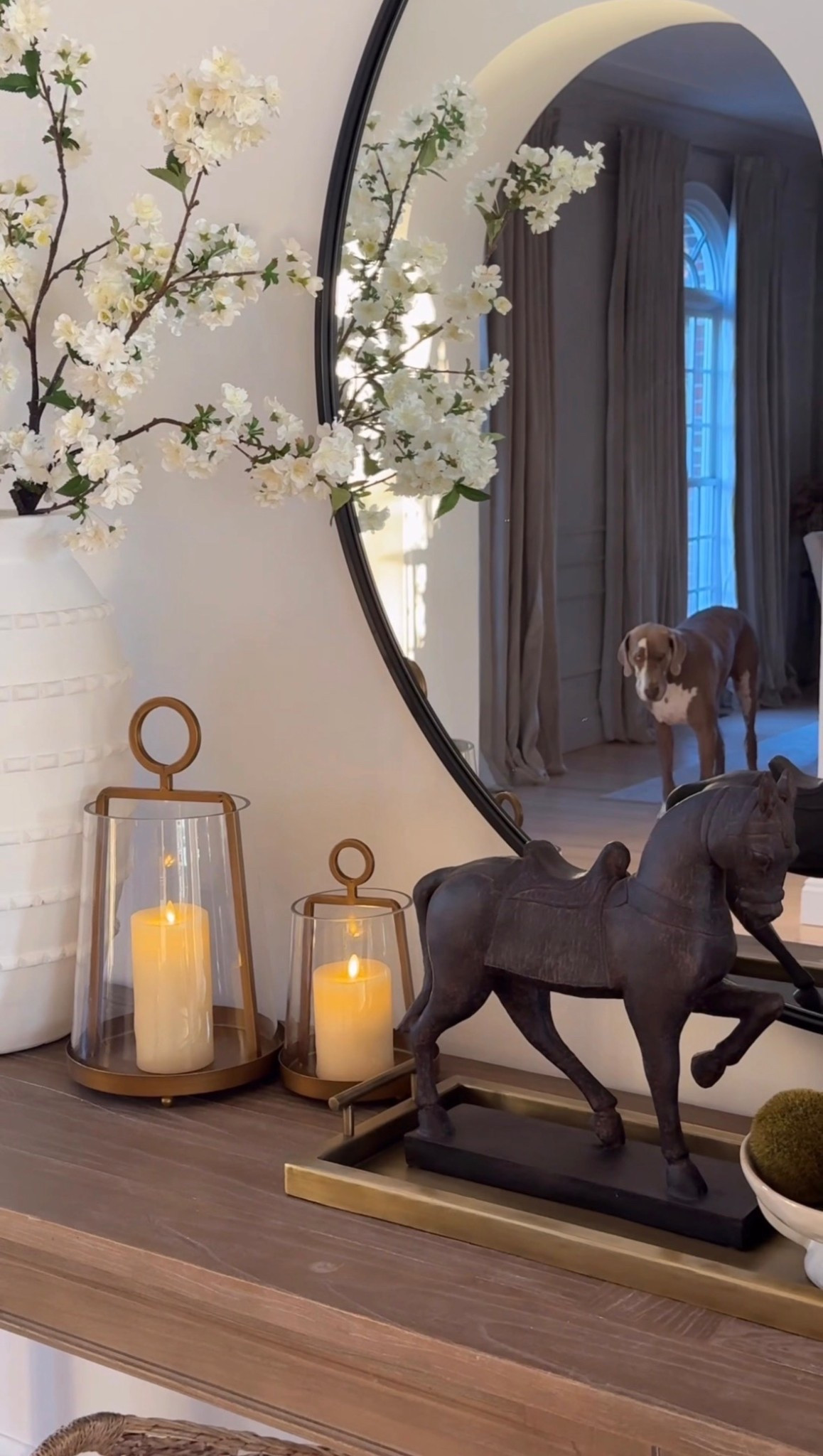 Can you spot Slinky?!! 🤣 but in all seriousness, these lanterns are beautiful! 

#LTKSpringSale #LTKSeasonal #LTKHome