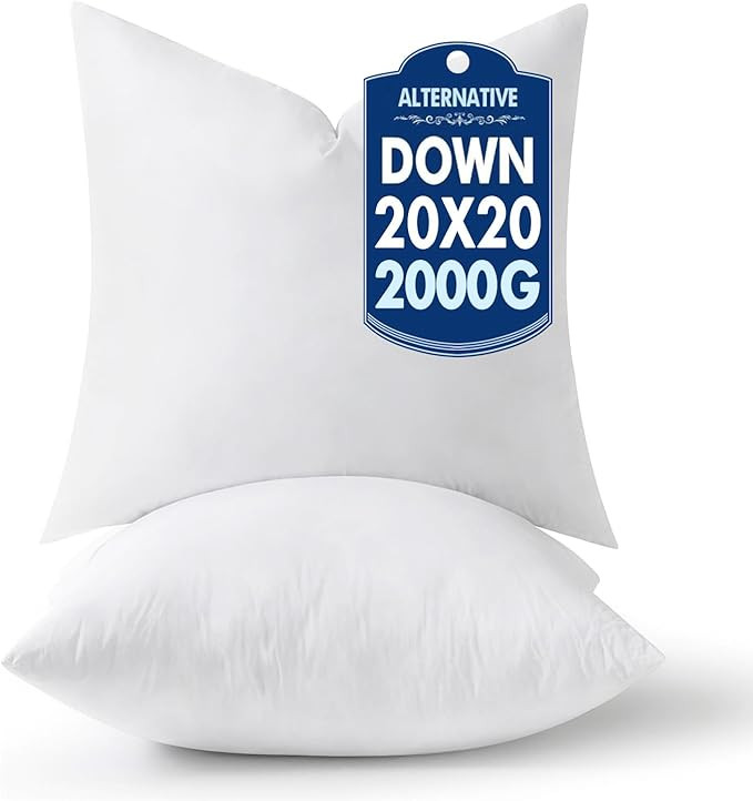 MIULEE 20x20 Pillow Inserts,Down Alternative Pack of 2 Decorative Throw Pillows for Sofa Couch Be... | Amazon (US)