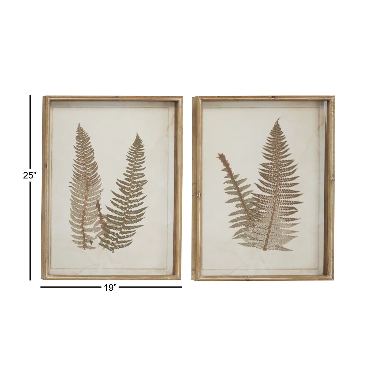 Large Vintage Fern Illustrations - 2 Piece Picture Frame Graphic Art on MDF | Wayfair North America