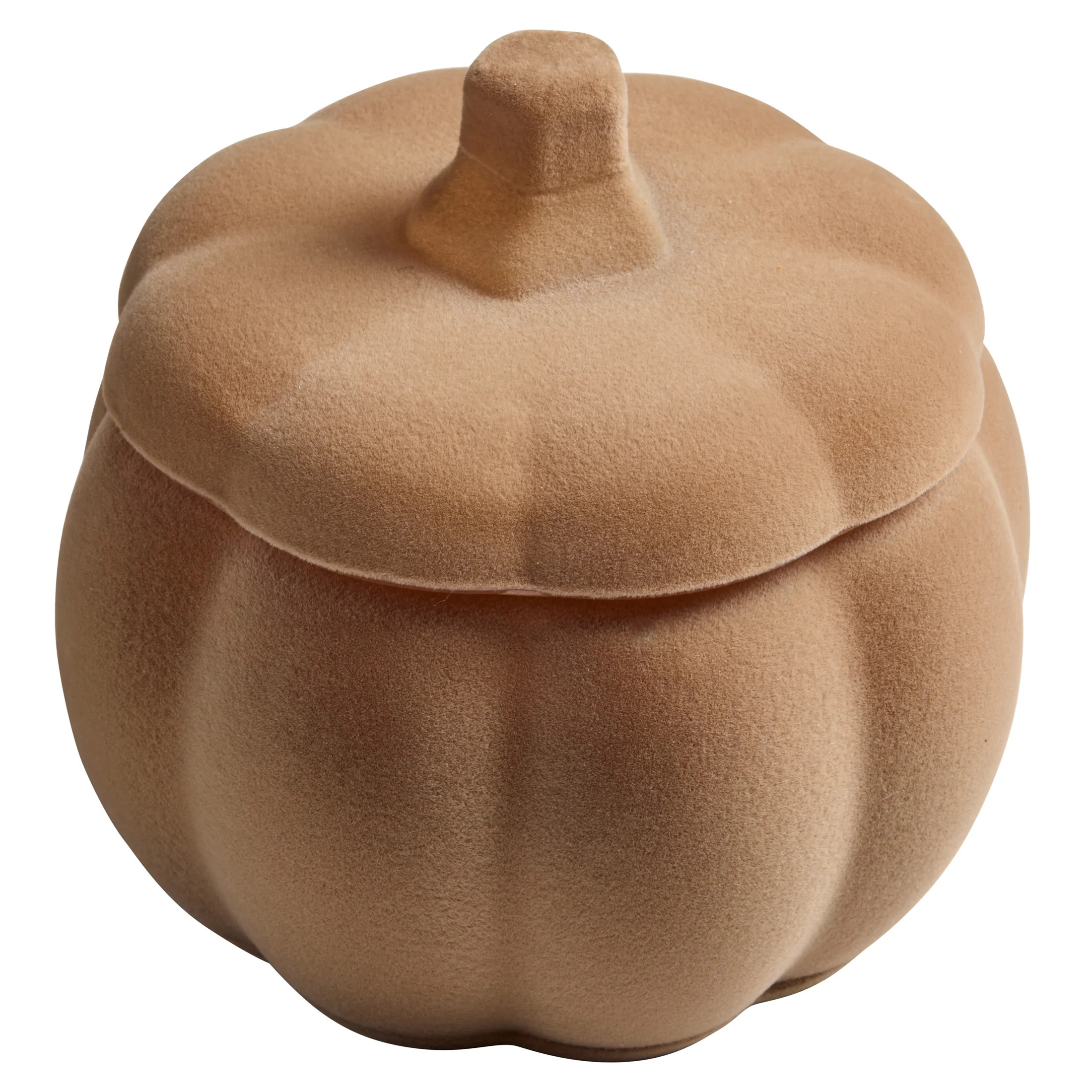 Better Homes and Gardens Pumpkin Snickerdoodle Swirl Scented 2 Wick Flocked Pumpkin Jar Candle 12... | Walmart (US)