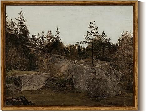 InSimSea Framed Canvas Wall Art - Landscape Forests Rocks Vintage Botanical Prints - Vintage Farm... | Amazon (US)