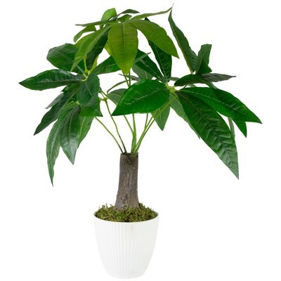 Northlight Artificial Money Tree Plant in Textured Lined Pot - 18.5" | Target