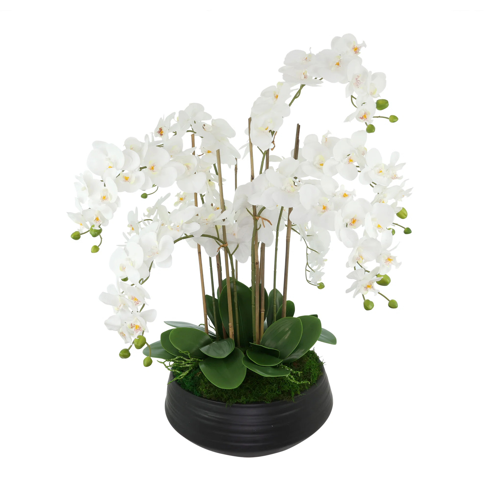 Orchid Centerpiece in Ceramic Pot | Wayfair North America