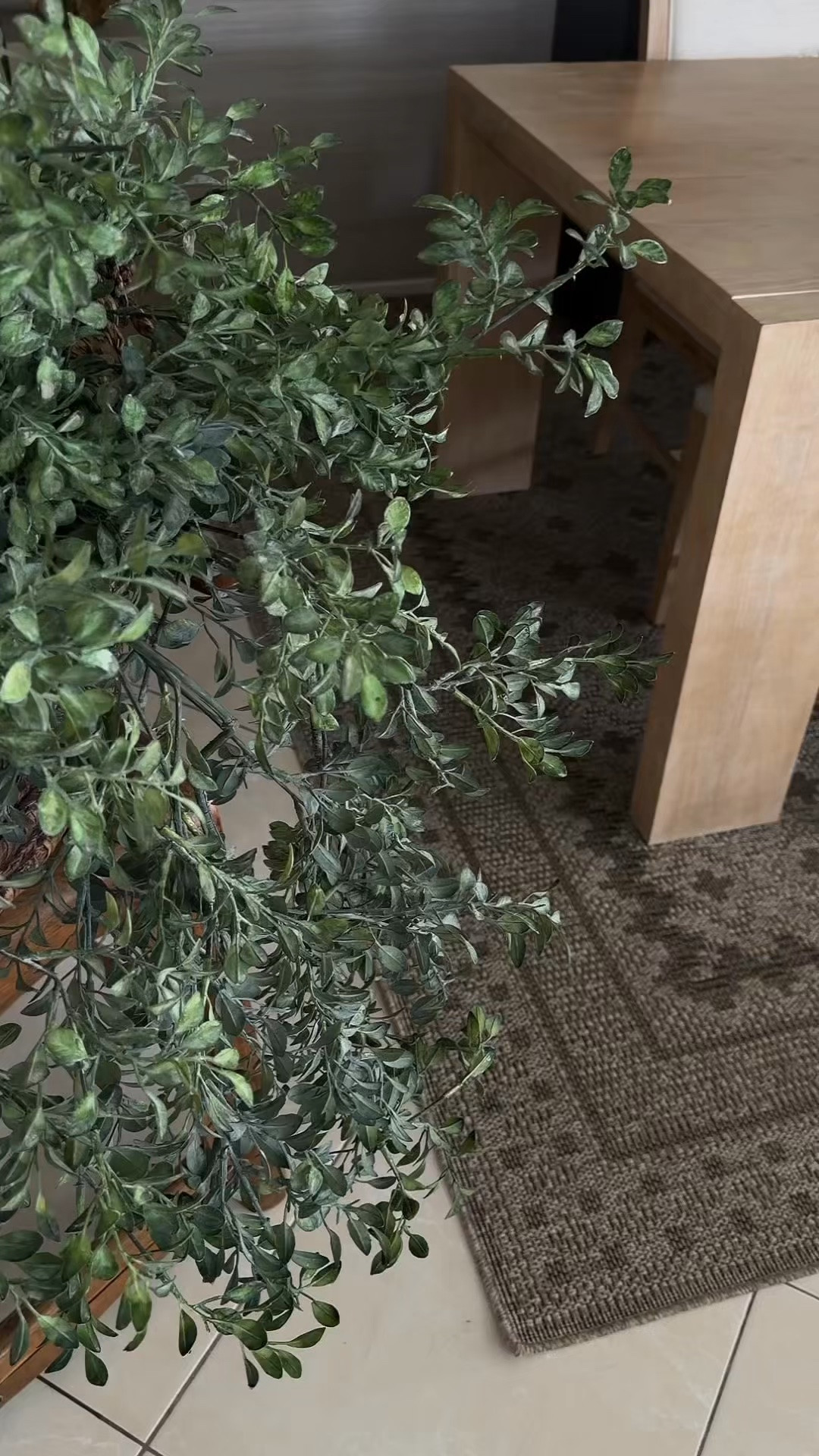 Indoor/Outdoor Area Rug 
The perfect anchor for your space! 👣 Whether you’re upgrading your living room or adding warmth to the patio, this area rug is as durable as it is stylish. Its organic design pattern brings that sophisticated, clean aesthetic to high-traffic areas.

#AreaRug #IndoorOutdoor #HomeDecor #LivingRoomStyle #PatioDecor #affiliatelink #amazonfinds #frankietavares

#LTKHome