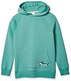 Amazon Essentials Boys' Fleece Pullover Hoodie Sweatshirts, Teal Shark, X-Large | Amazon (US)