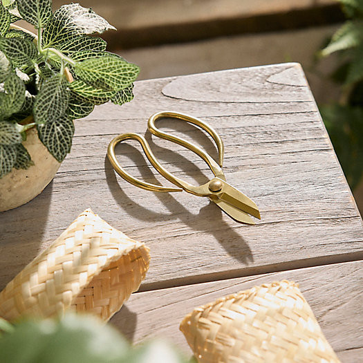 Golden Scissors with Case | Terrain