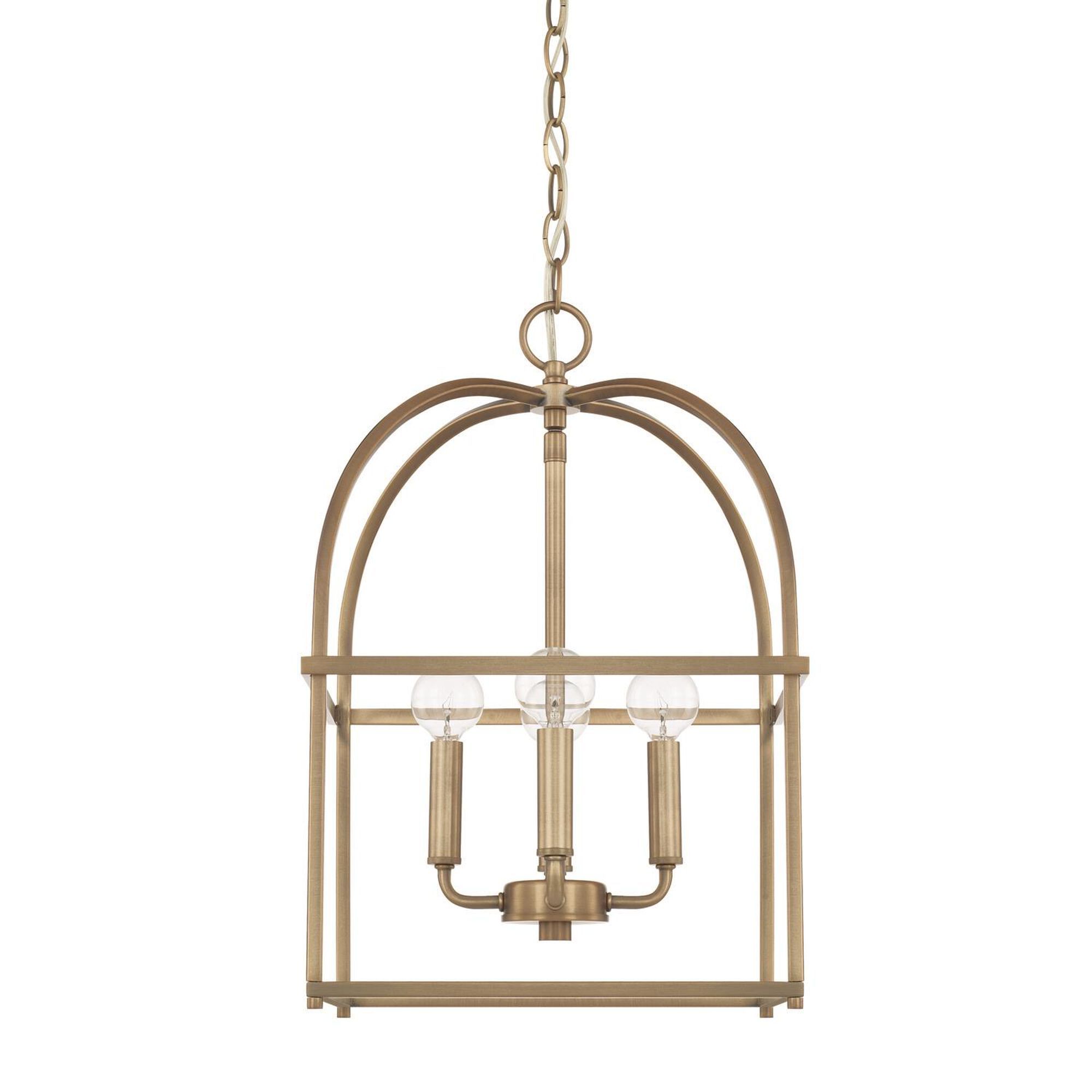 12 Inch Cage Pendant by Homeplace by Capital Lighting Fixture Company | 1800 Lighting