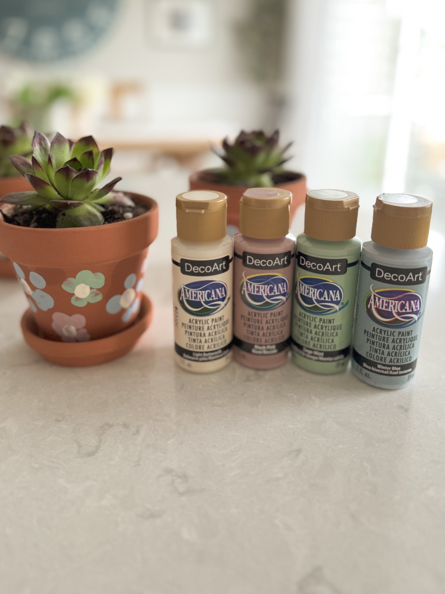 spring craft for littles 🪴 A little paint, tiny pots, and succulents make for the perfect handmade gifts during springtime—for Easter, Mother’s Day, and more! 🌸✨ 

#aclassyfashionista #kidscrafts #kidscraft #kidscraftideas #craftideas #craftideasforkids #craftidea #succulentpots 

#LTKHome #LTKKids #LTKFamily