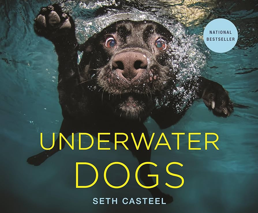 Underwater Dogs | Amazon (US)