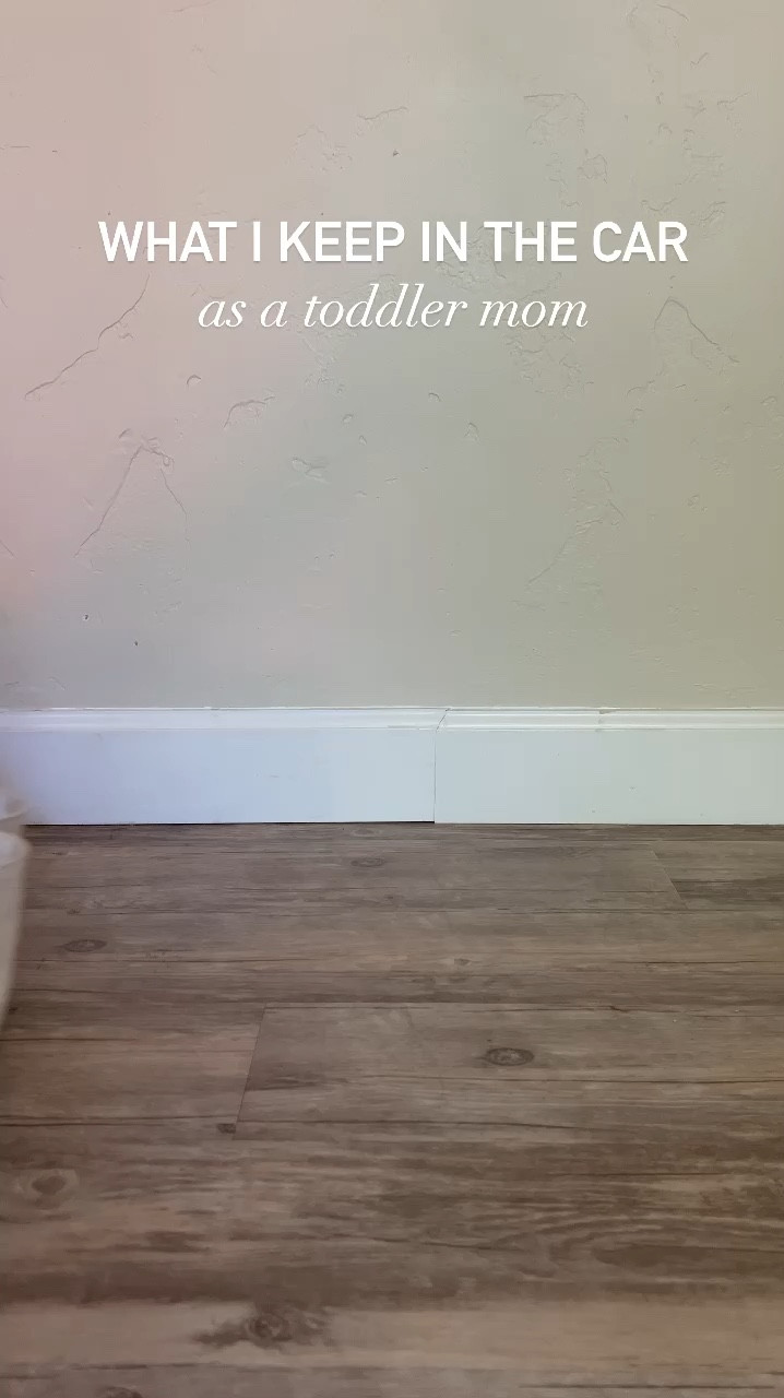 what i keep in the car — toddler essentials, toddler boy car kit, baby car kit

#LTKBaby #LTKFamily #LTKKids