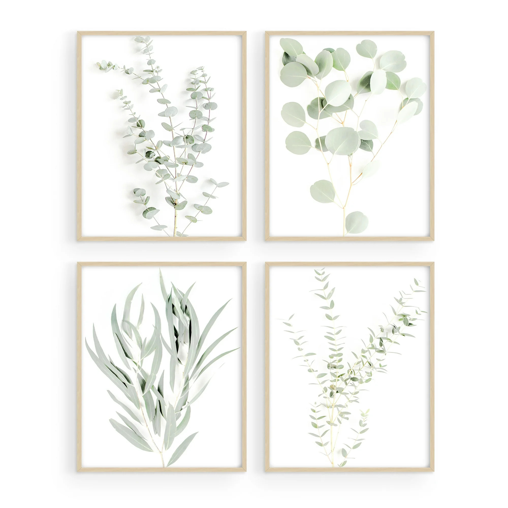 Haus and Hues Botanical Plant Wall Art Prints - Set of 4 Plant Wall Decor Pictures Minimalist Wal... | Walmart (US)
