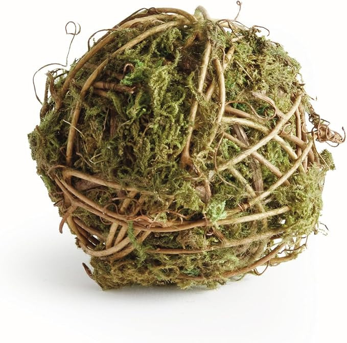 Napa Home & Garden, Mossy Vine ORB 4" | Amazon (US)