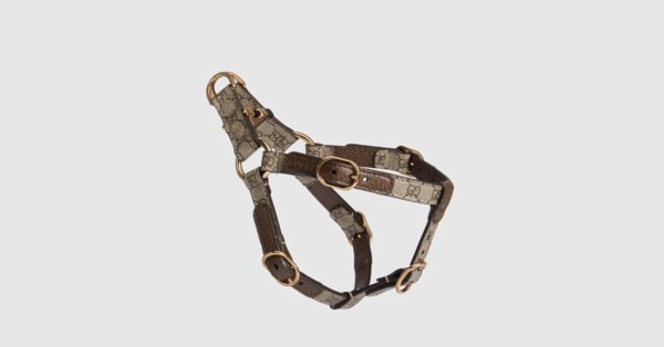 Extra-small pet harness | Gucci (US)