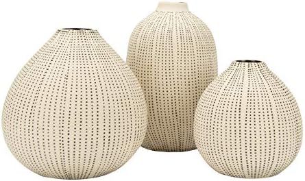 Creative Co-op DF0842 White Stoneware Textured Black Polka Dots (Set of 3 Sizes) Vase : Home & Ki... | Amazon (US)