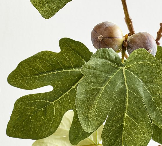 Faux Green Fig Branch | Pottery Barn (US)