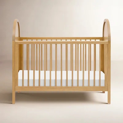 Bondi Cane 3-in-1 Convertible Crib with Toddler Bed Conversion Kit | Wayfair North America