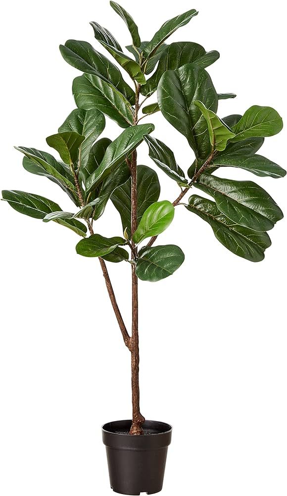 Amazon Brand - Stone & Beam Artificial Fiddle Leaf Fig Tree with Plastic Nursery Pot, 4.3 Feet (5... | Amazon (US)