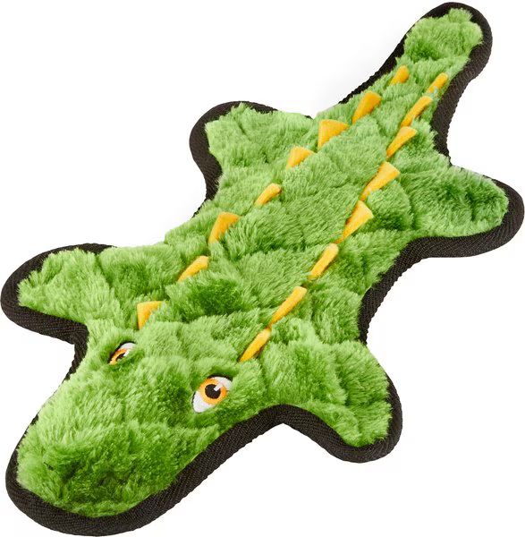 Frisco Alligator Stuffing-Free Flat Plush Squeaky Dog Toy | Chewy.com
