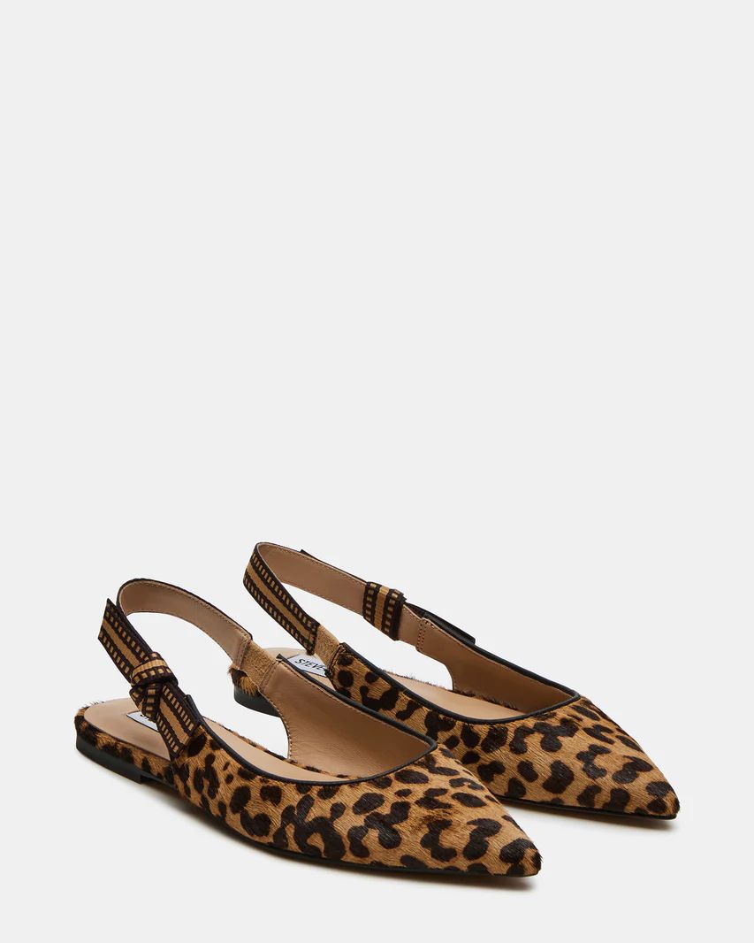 OLSEN Leopard Slingback Pointed Toe Ballet Flat | Women's Flats | Steve Madden (US)