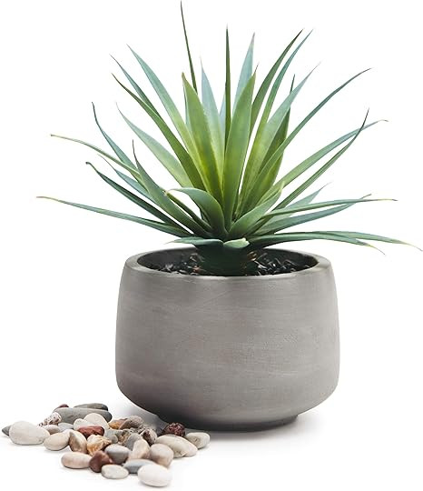Kurrajong Farmhouse Gorgeous Life Like Desert Plant Decor - Farmhouse Plant - Artificial Plant in... | Amazon (US)