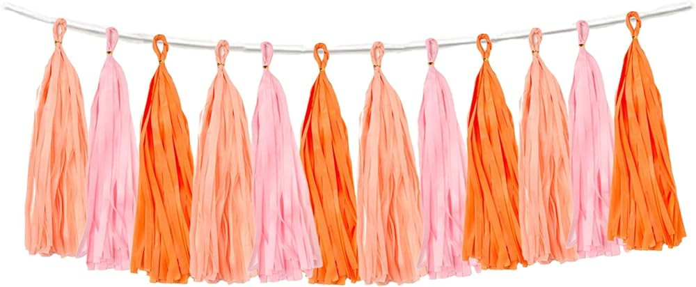 15PCS Pink Orange Peach DIY Tissue Tassel Garland Groovy Retro Party Tassel Banner Bunting Stream... | Amazon (US)