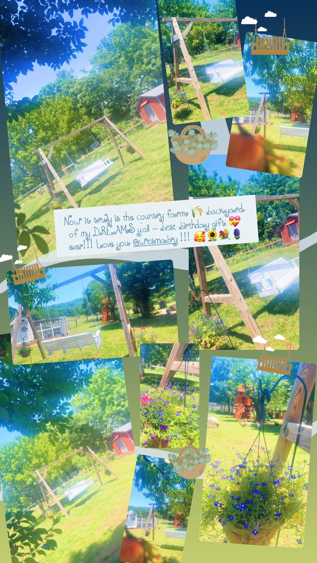 Now it truly is the country farm 🌾 backyard of my DREAMS y’all - best birthday gift 💝 ever!!! Love you @wesmabry !!! 🥰🌻💐🪻