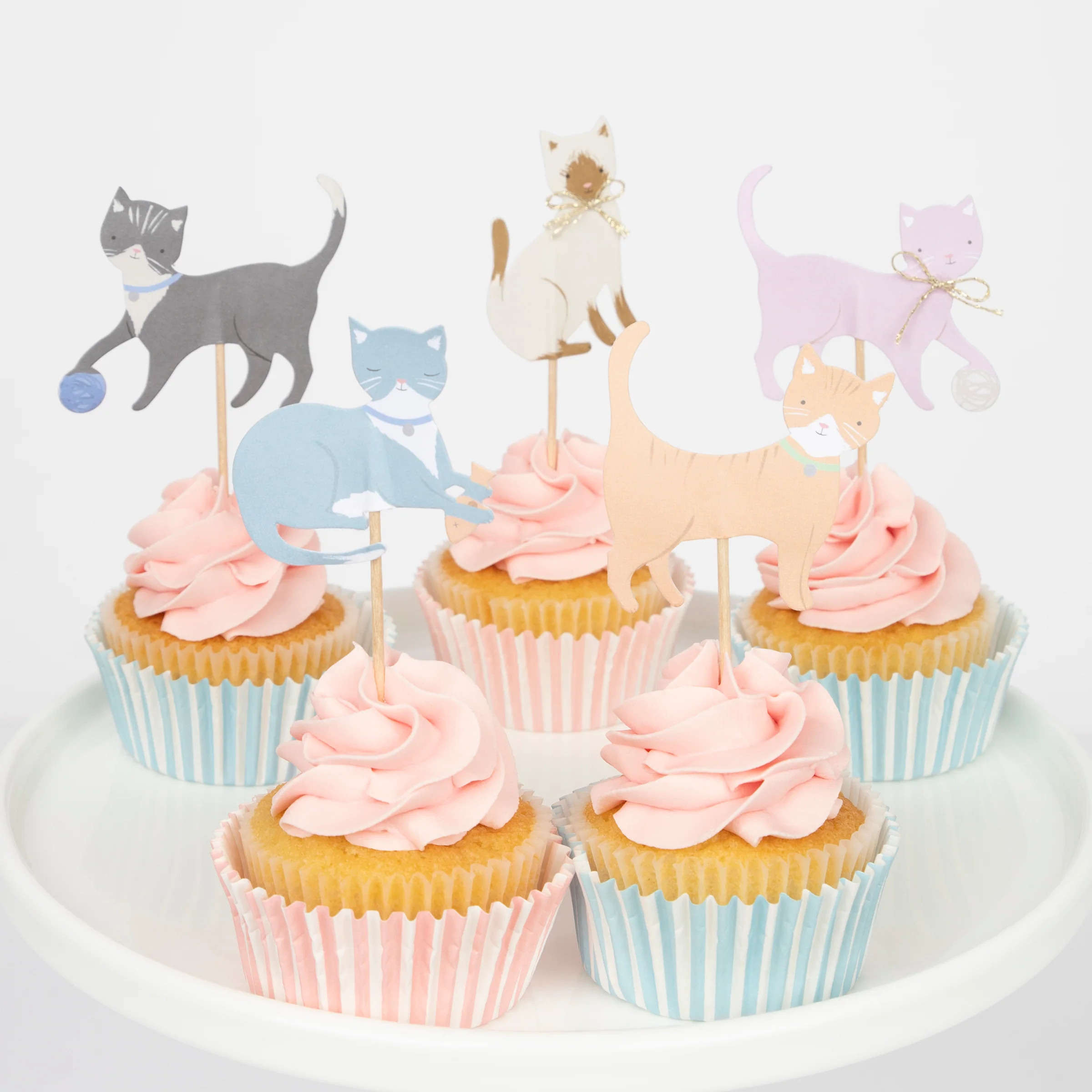 Cat Cupcakes | Meri Meri